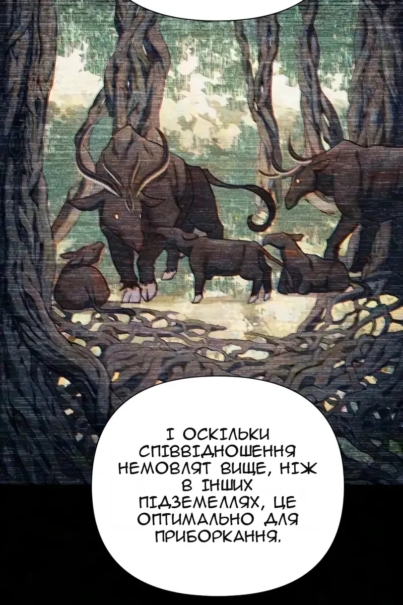 Сторінка 13