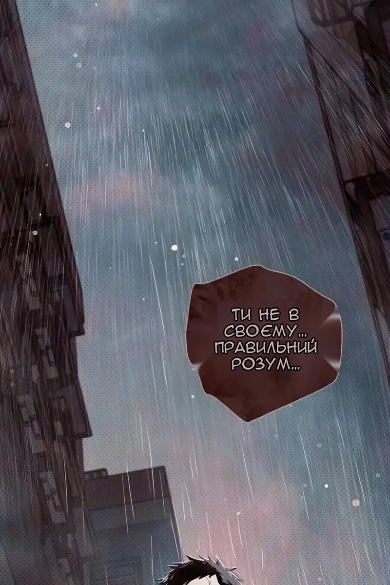 Сторінка 5