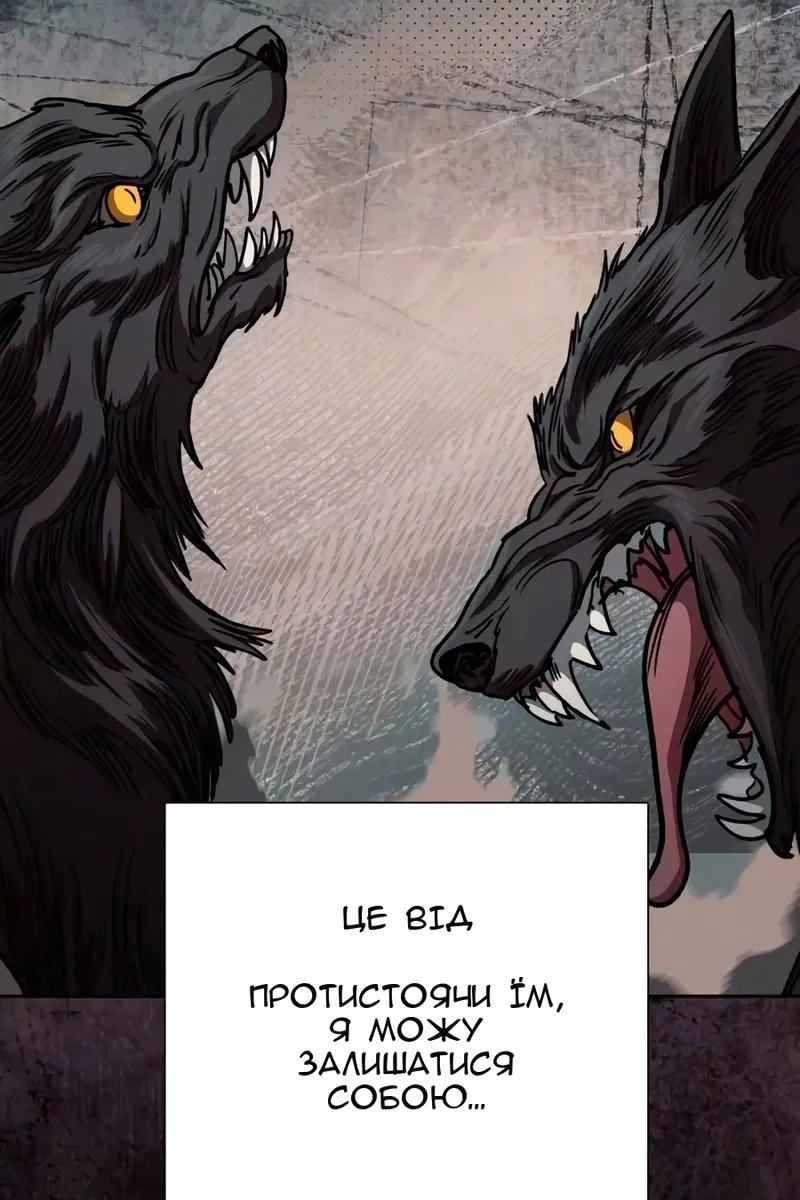 Сторінка 117