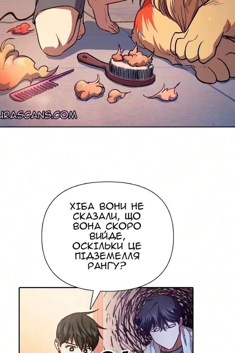 Сторінка 6