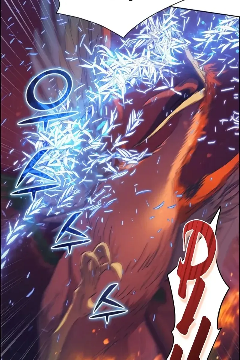 Сторінка 5
