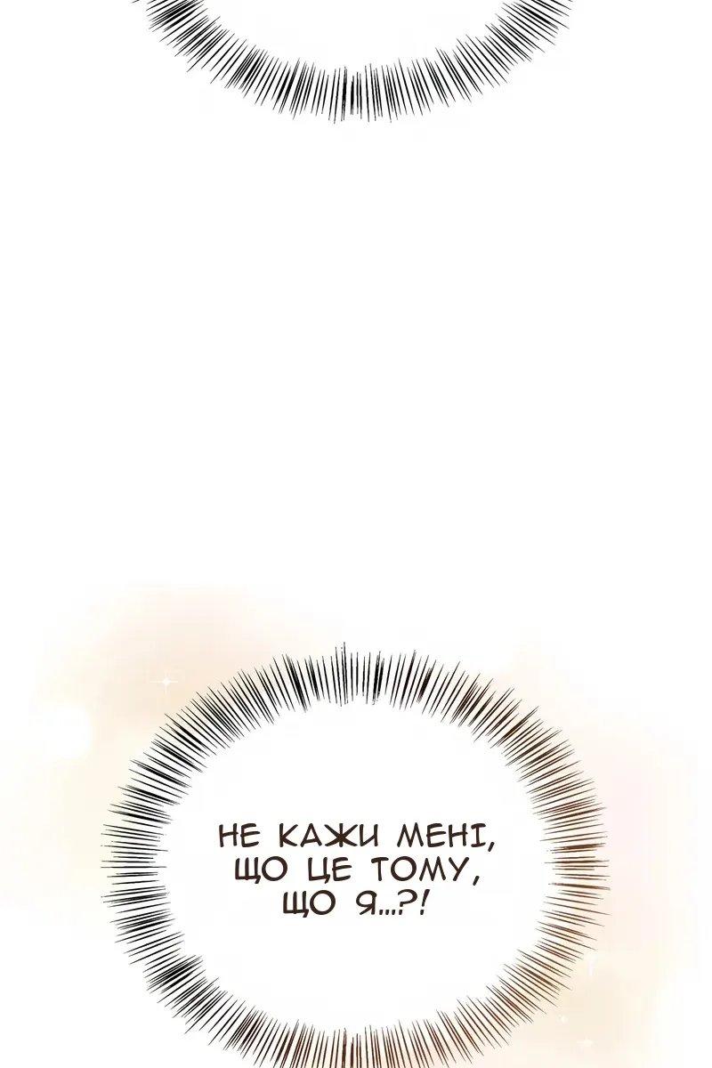 Сторінка 117