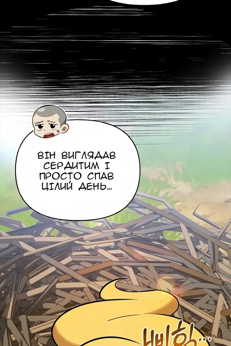Сторінка 26