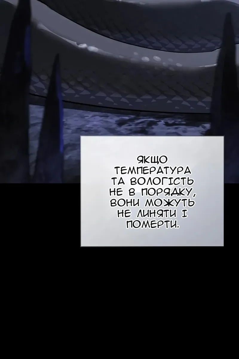 Сторінка 67