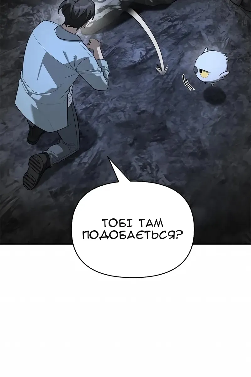 Сторінка 113