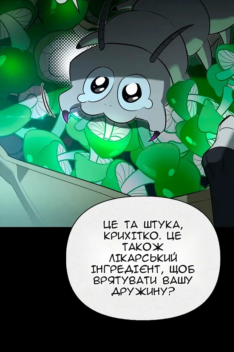 Сторінка 19