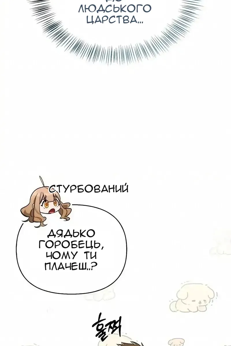 Сторінка 8