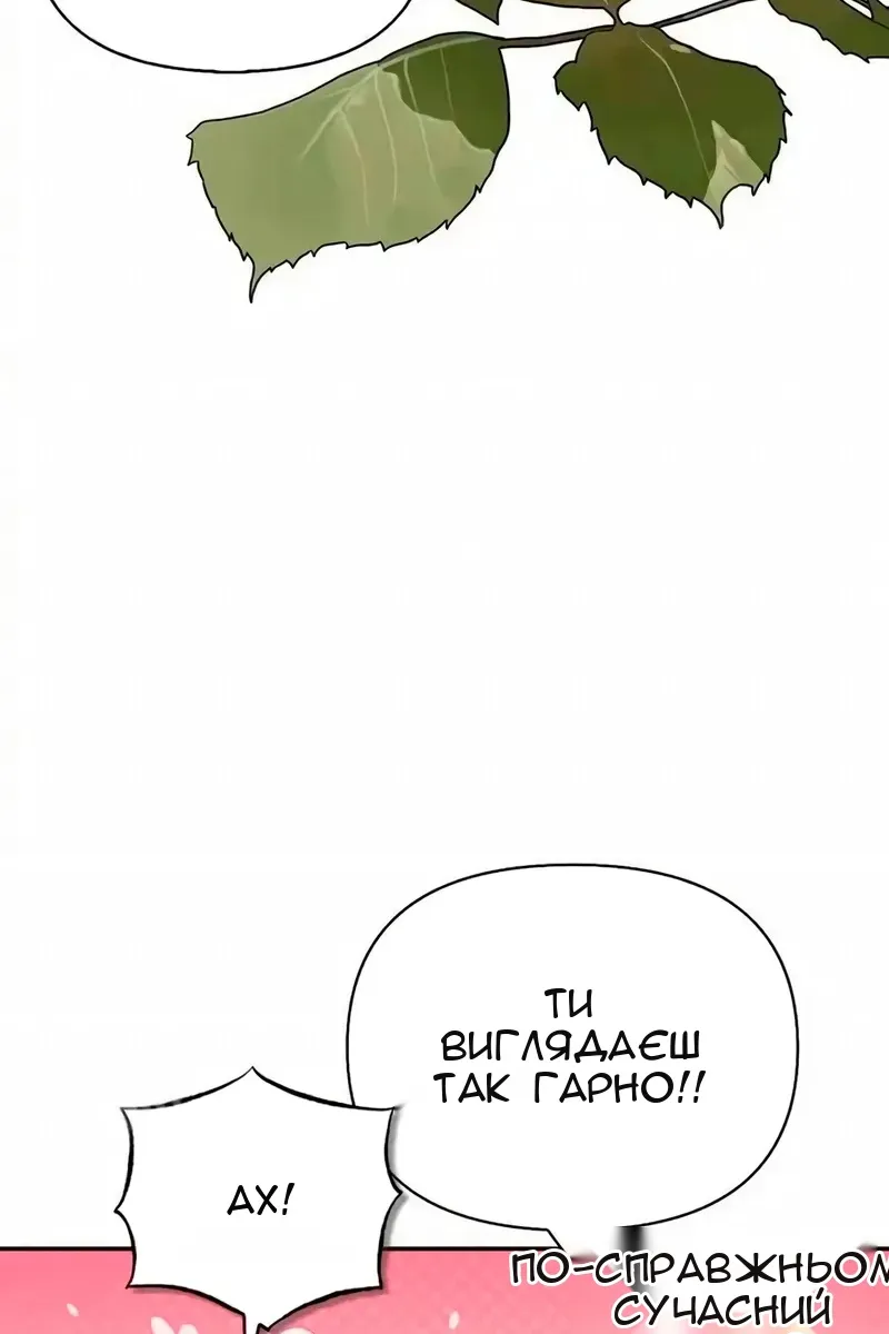 Сторінка 104
