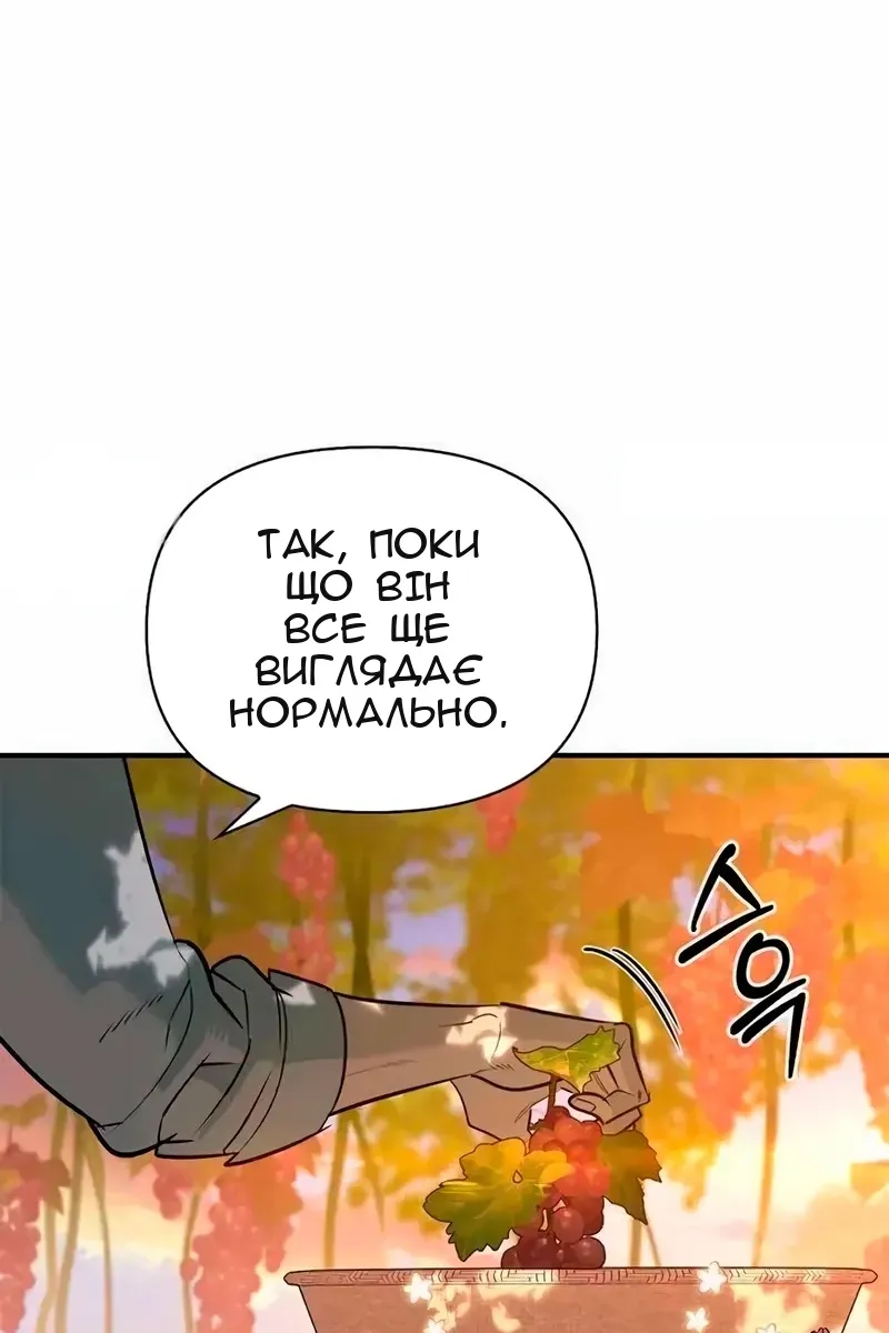 Сторінка 24