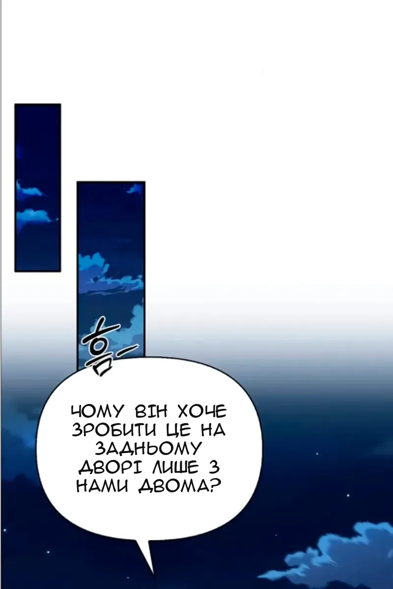 Сторінка 17