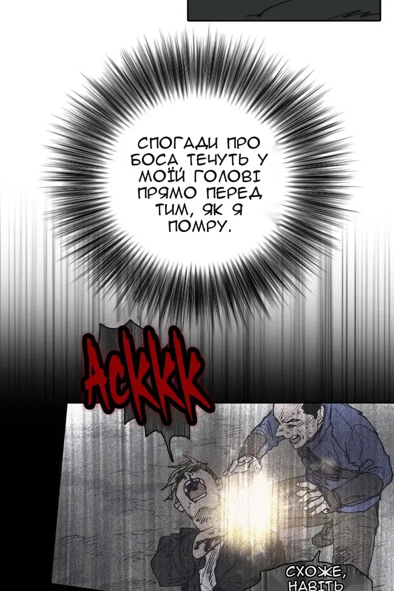 Сторінка 17