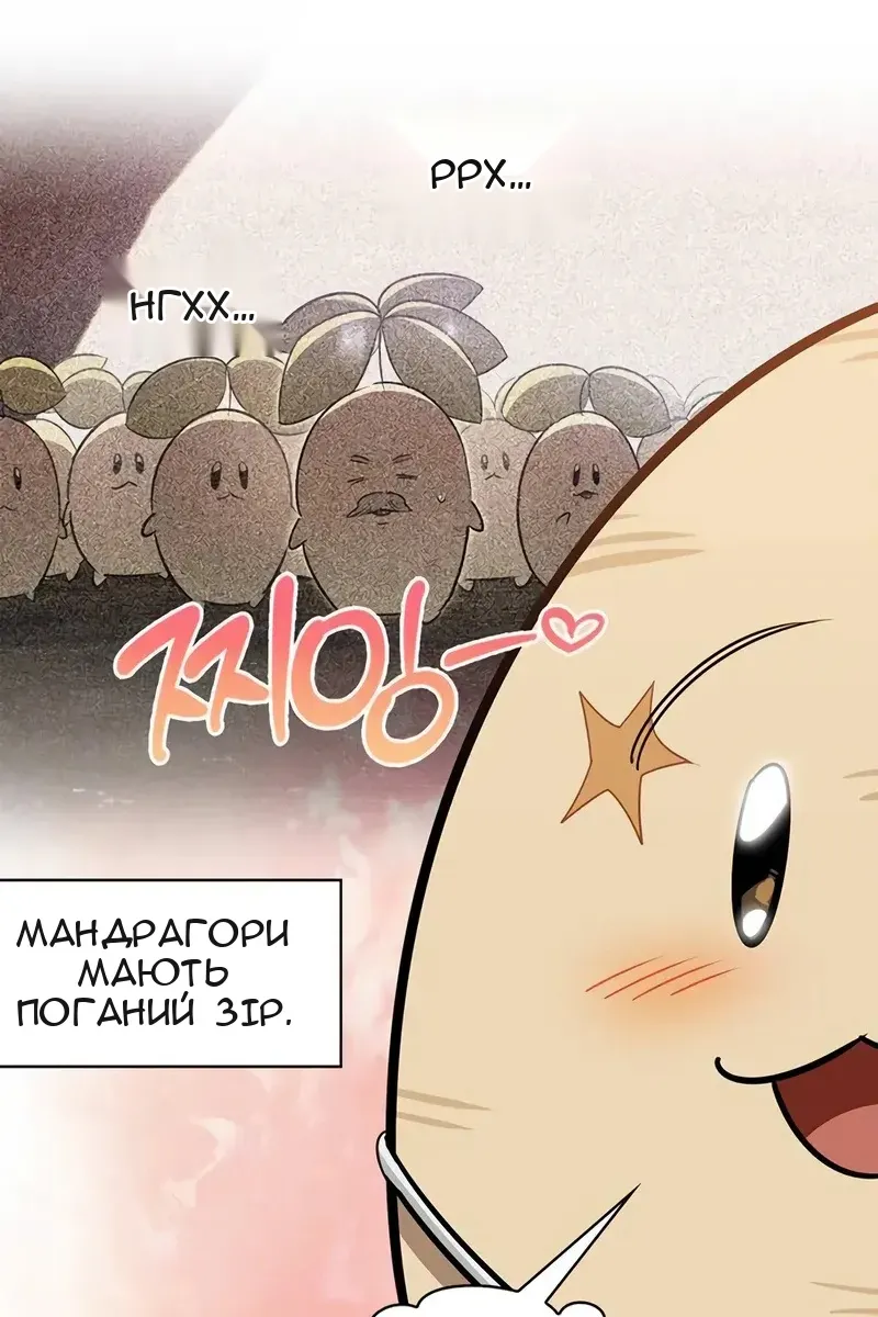 Сторінка 40