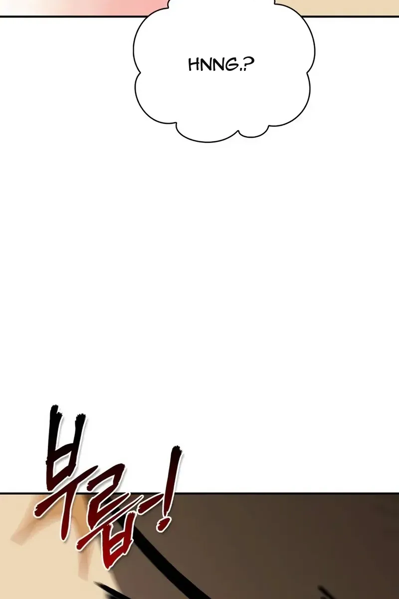 Сторінка 41