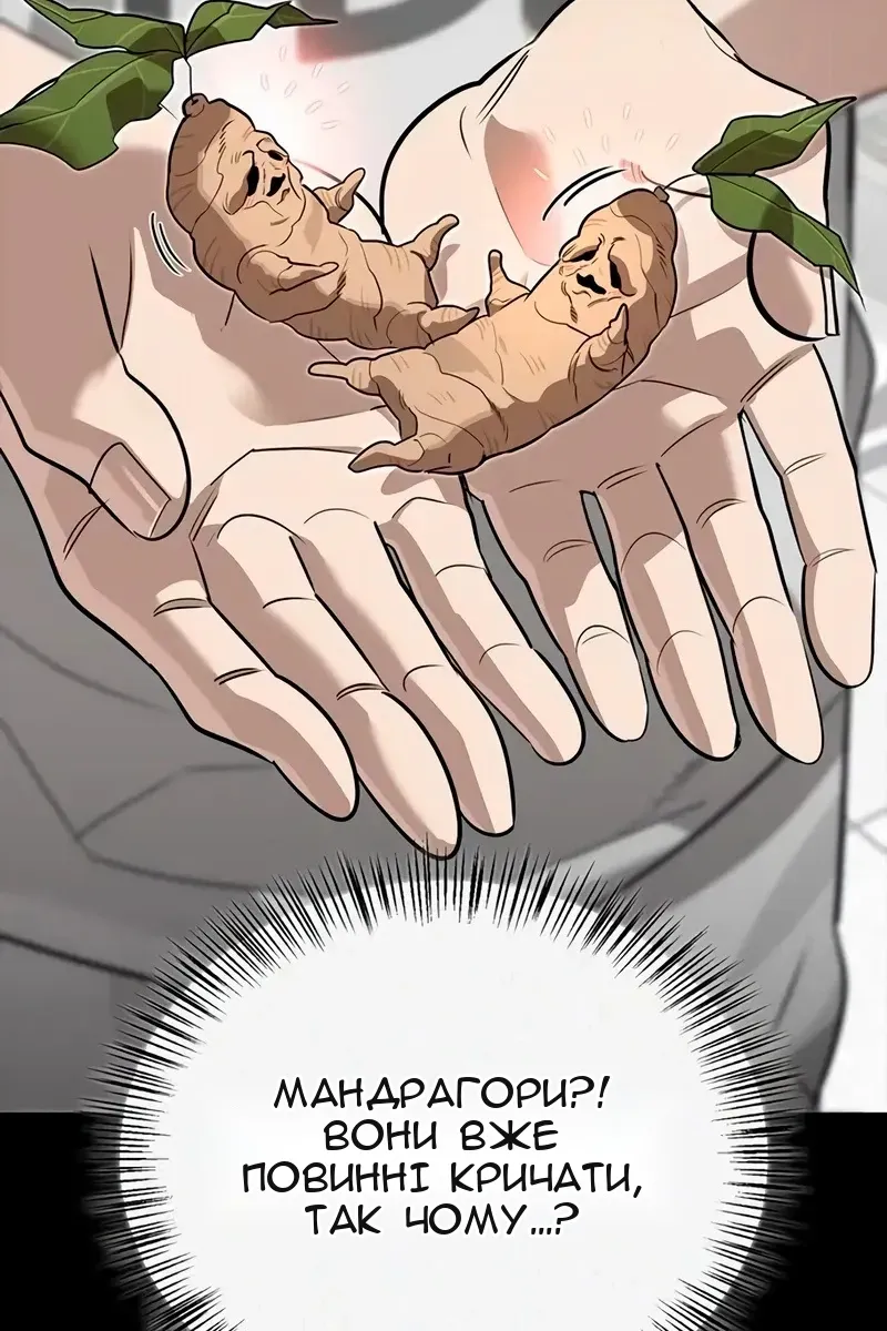 Сторінка 51