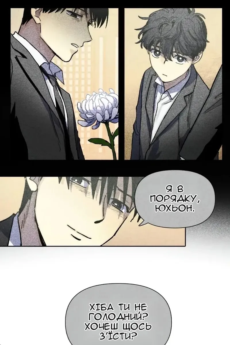 Сторінка 6