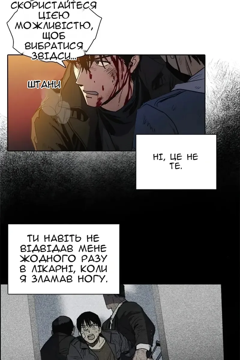 Сторінка 13