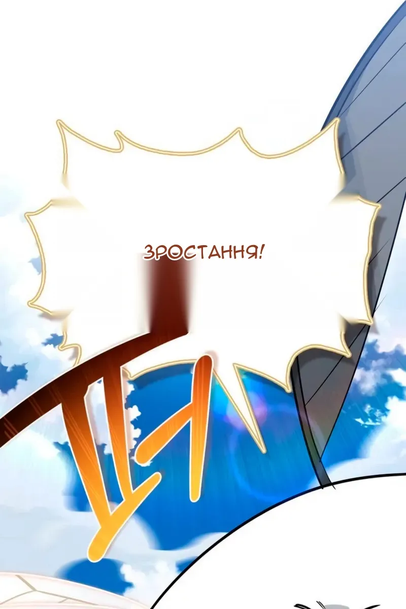Сторінка 17