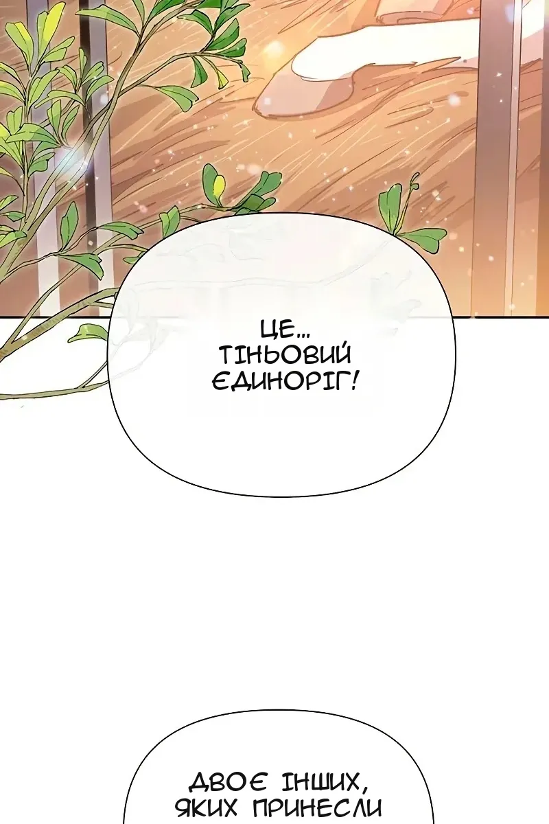 Сторінка 101