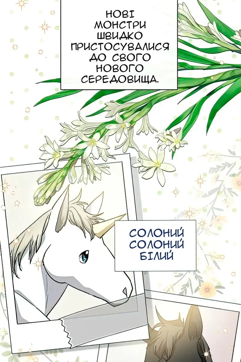 Сторінка 3