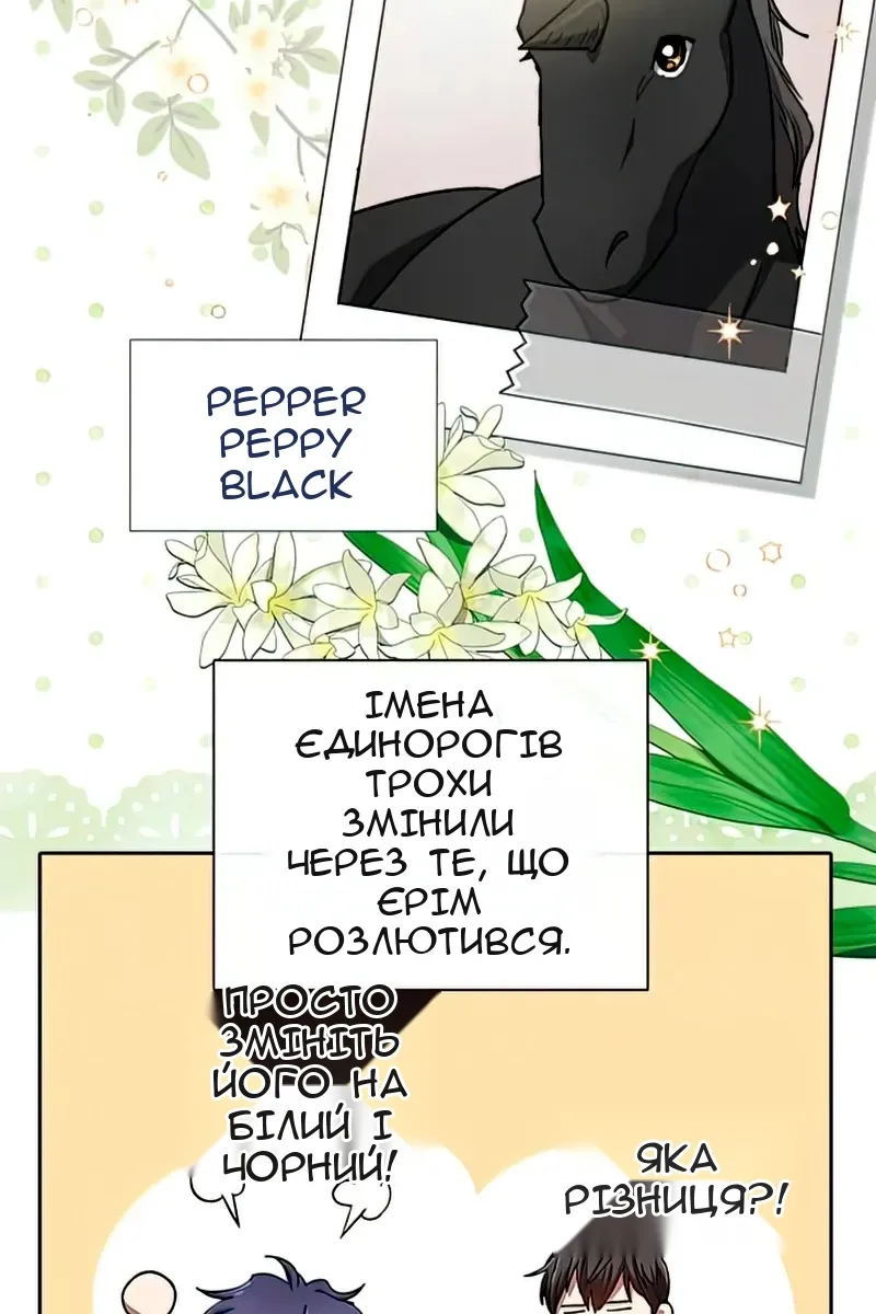 Сторінка 4