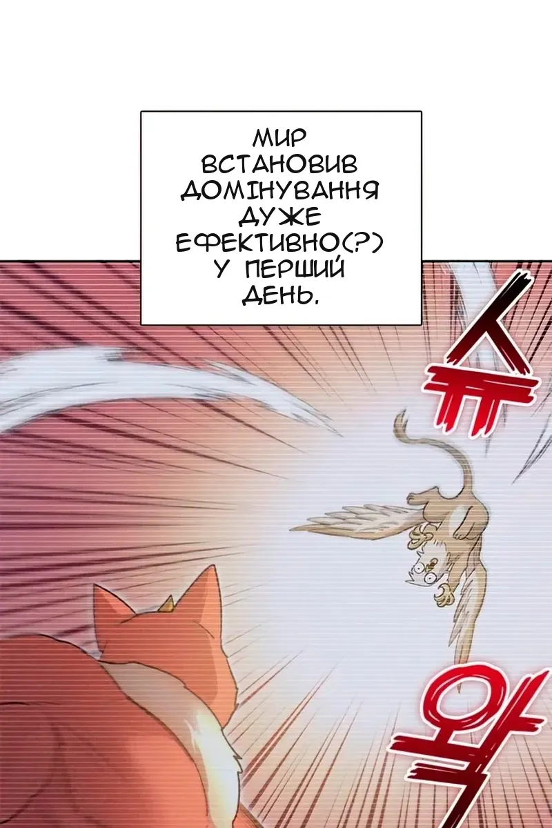 Сторінка 14