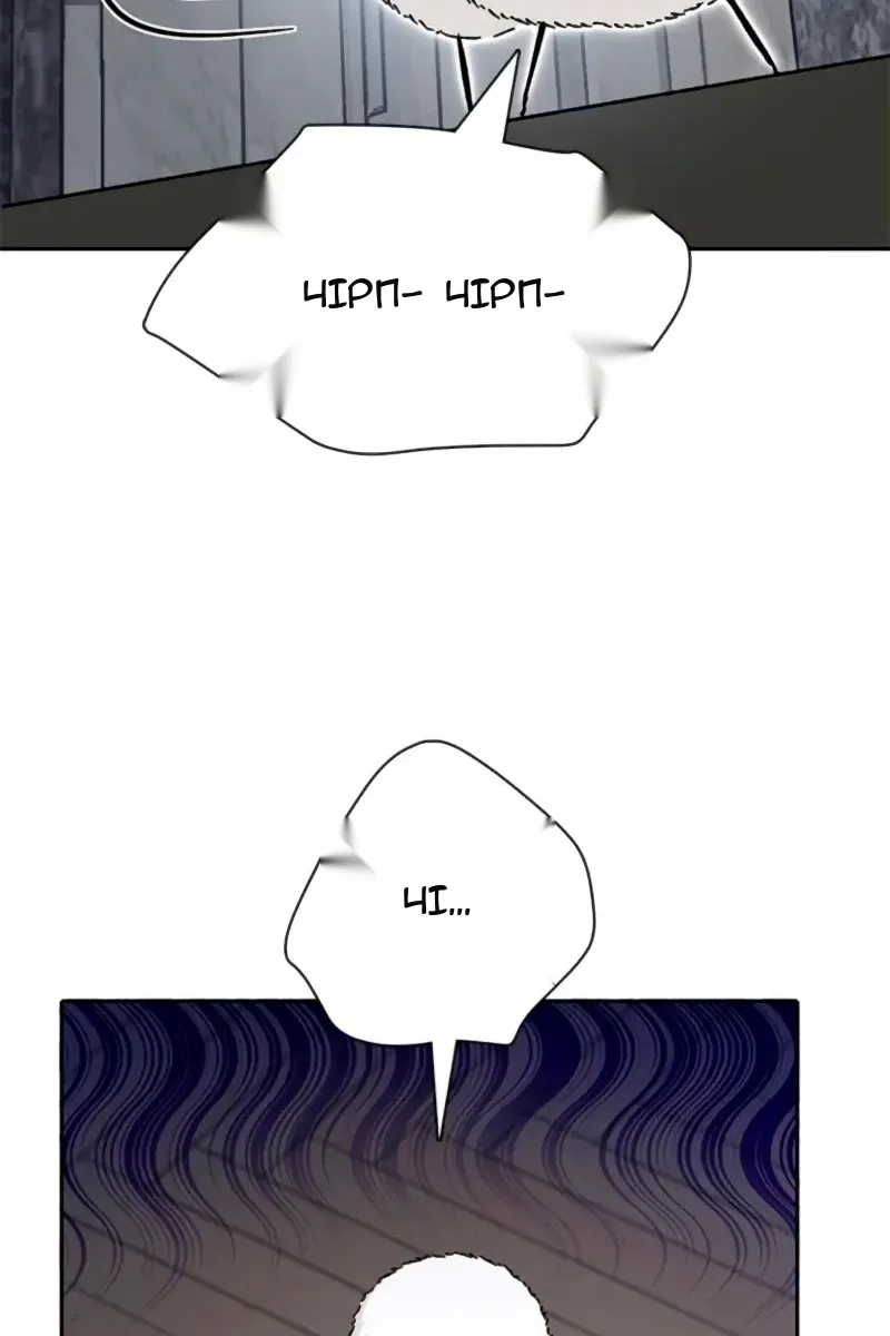 Сторінка 11