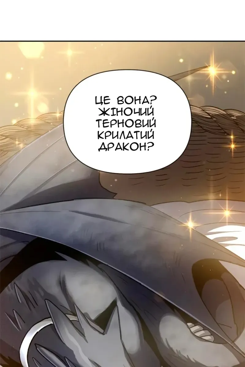 Сторінка 15