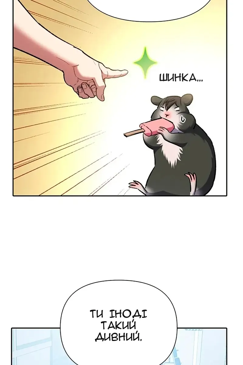 Сторінка 26