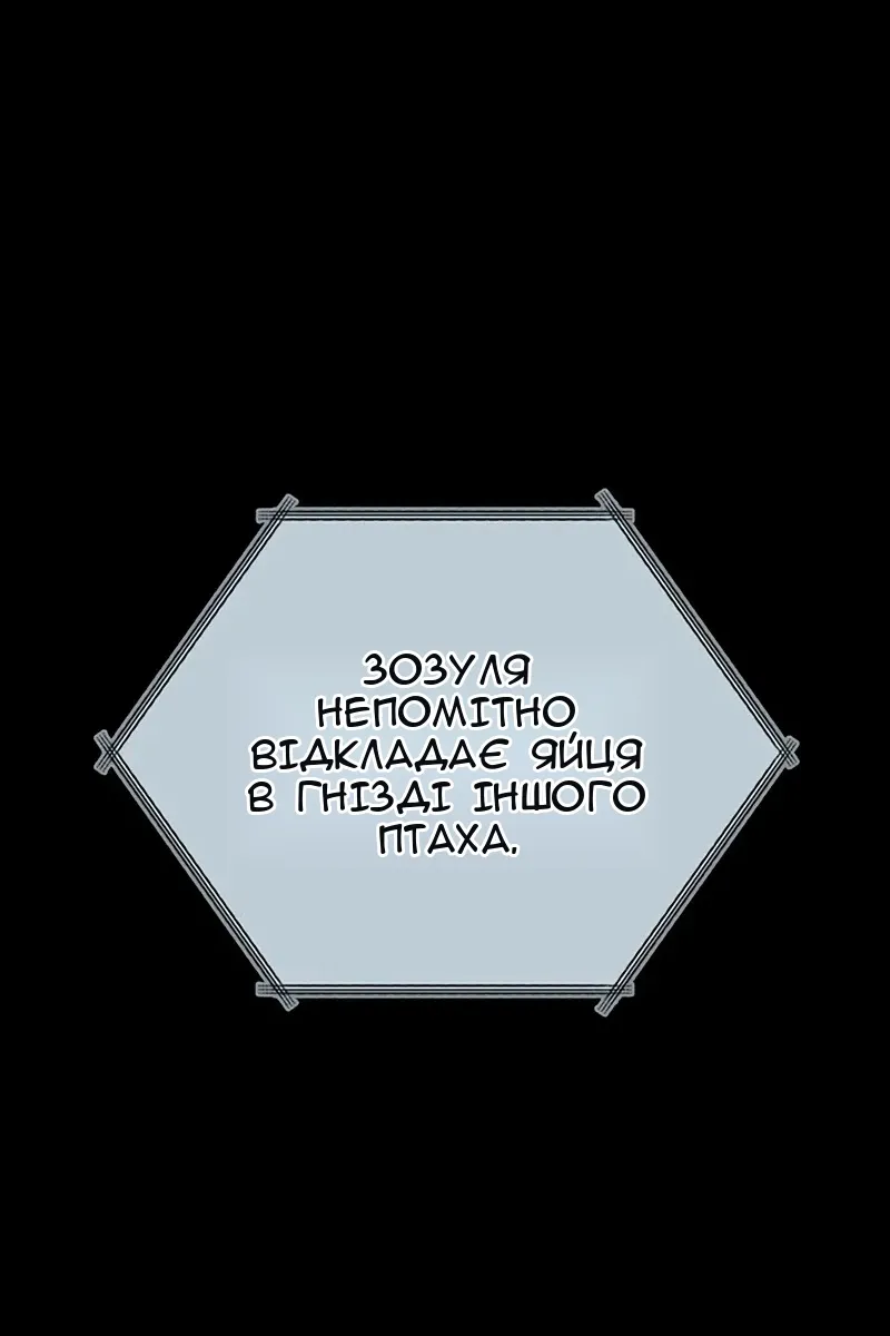 Сторінка 40