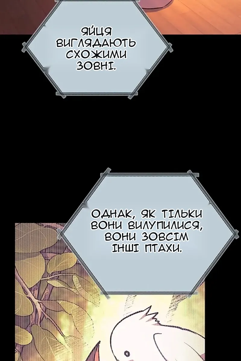Сторінка 42