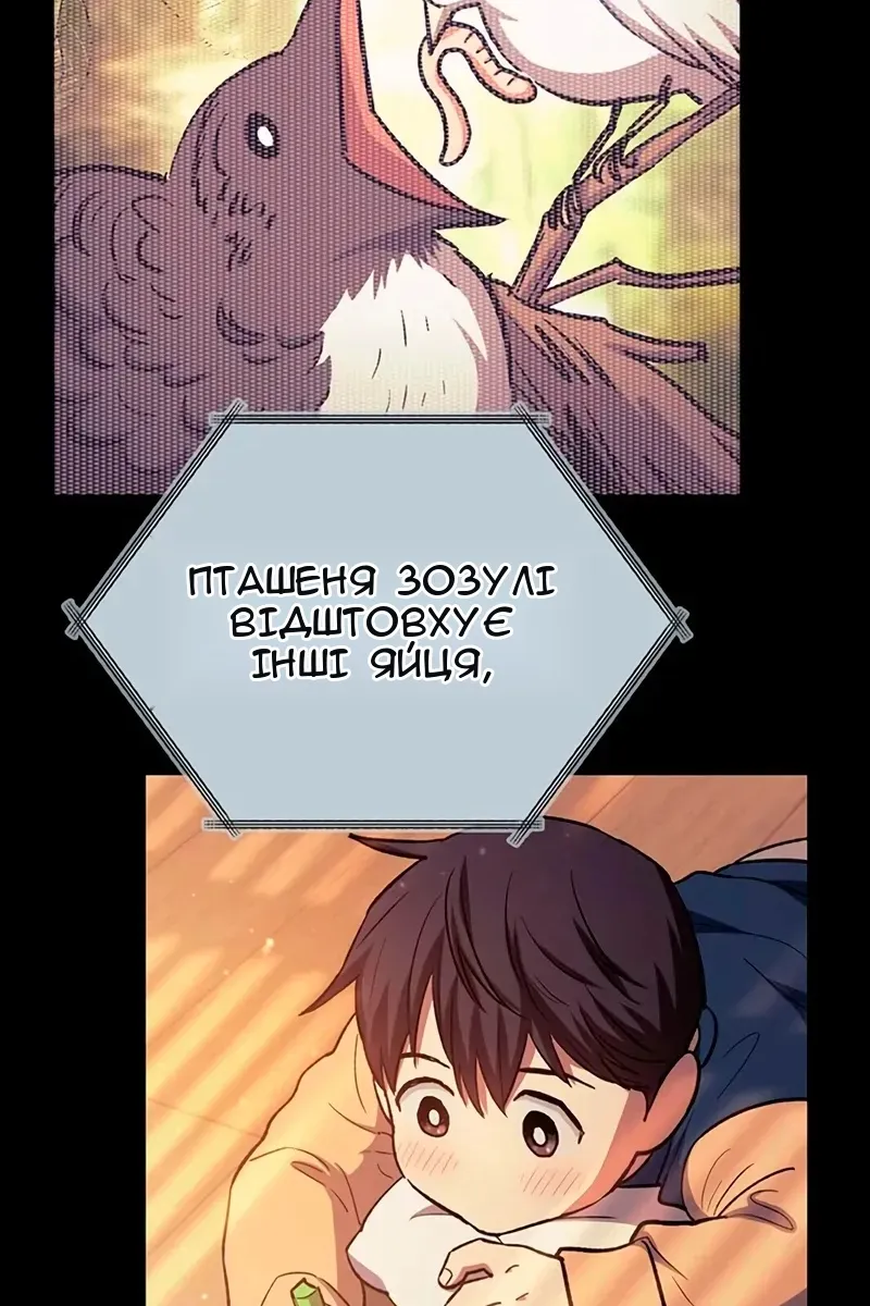 Сторінка 43