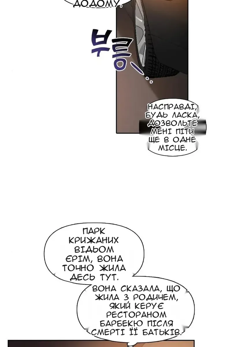 Сторінка 29
