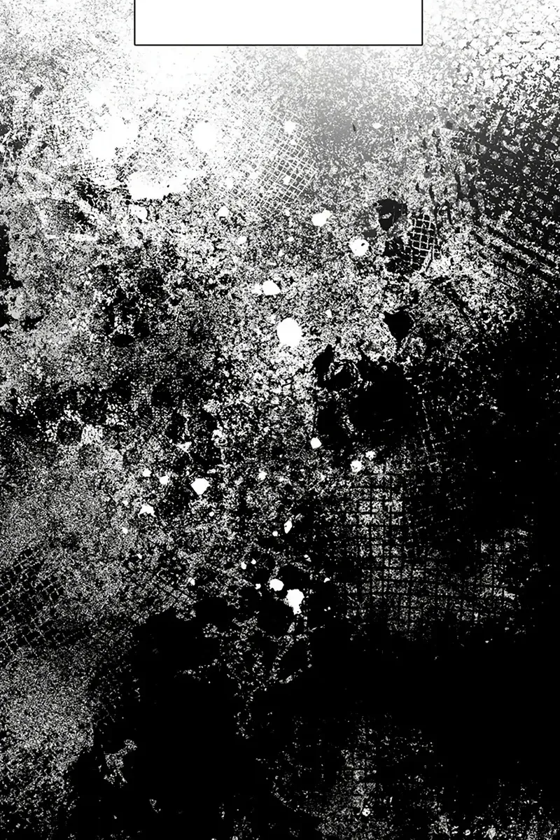 Сторінка 88