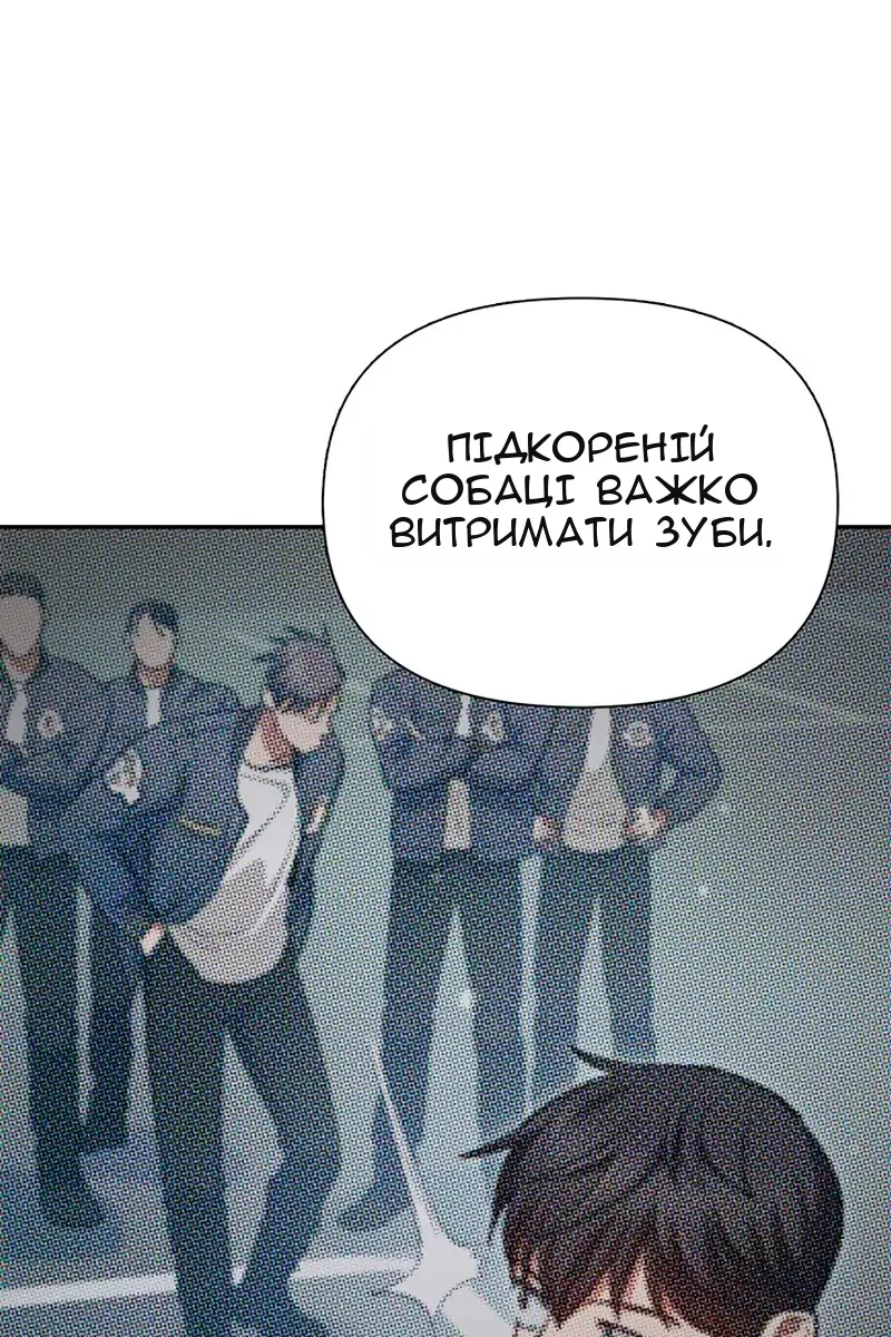 Сторінка 29