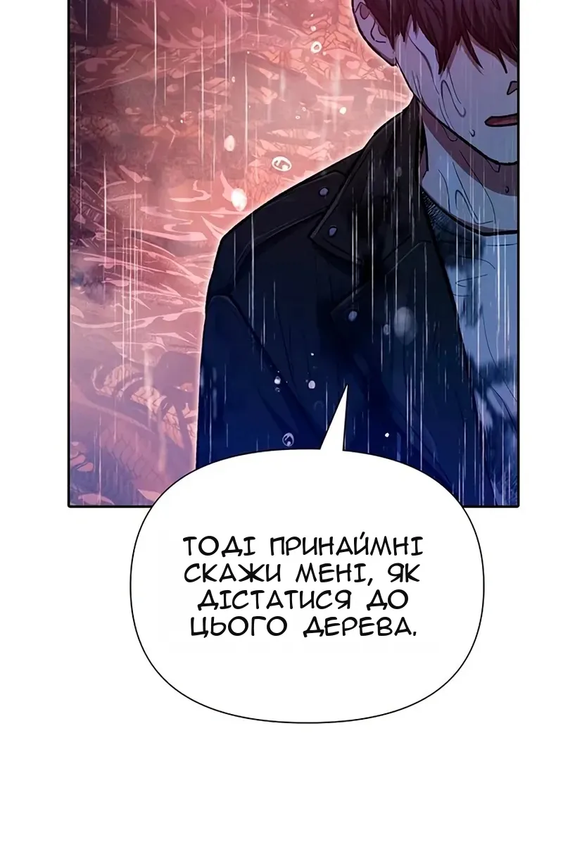 Сторінка 13
