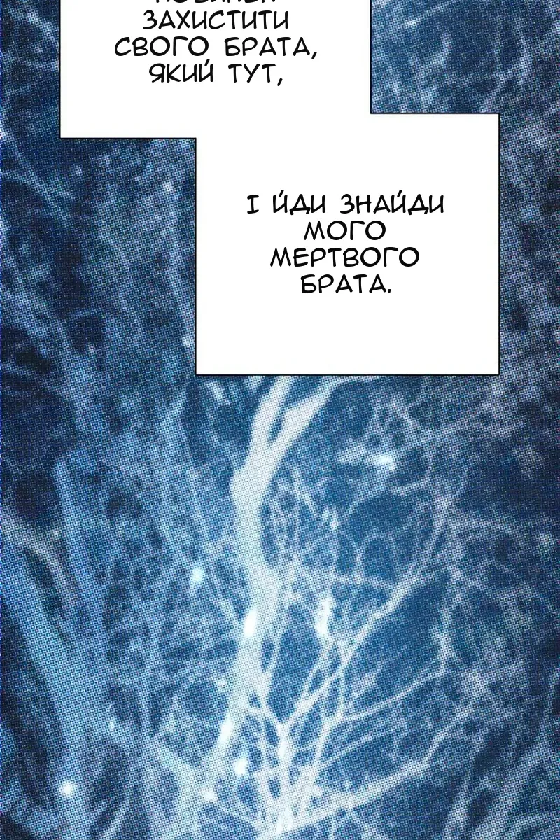Сторінка 37