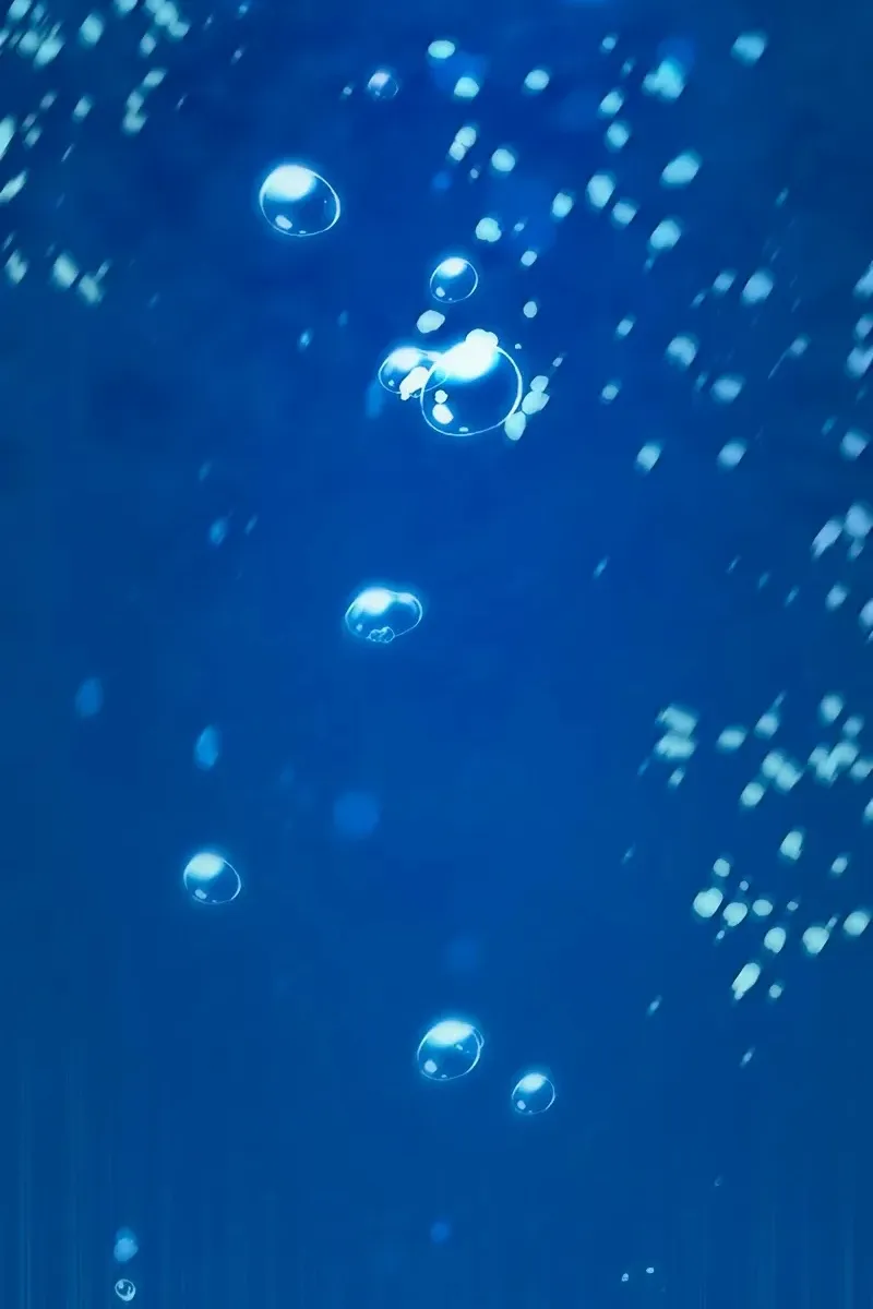 Сторінка 145