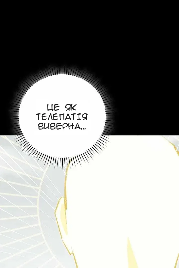 Сторінка 28