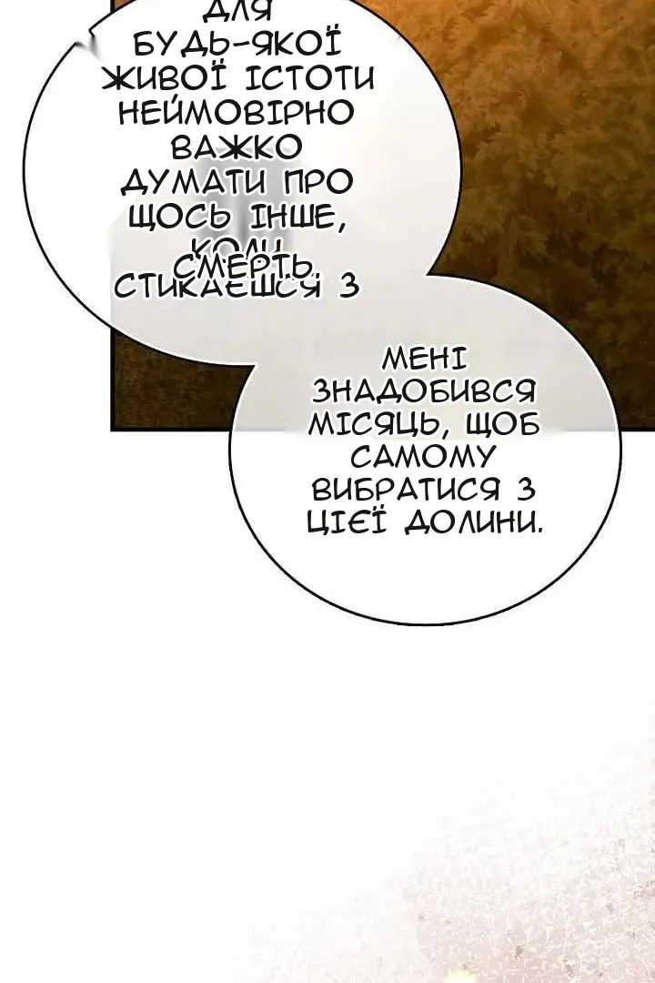 Сторінка 46