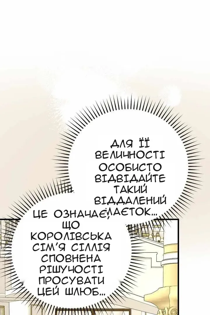 Сторінка 27