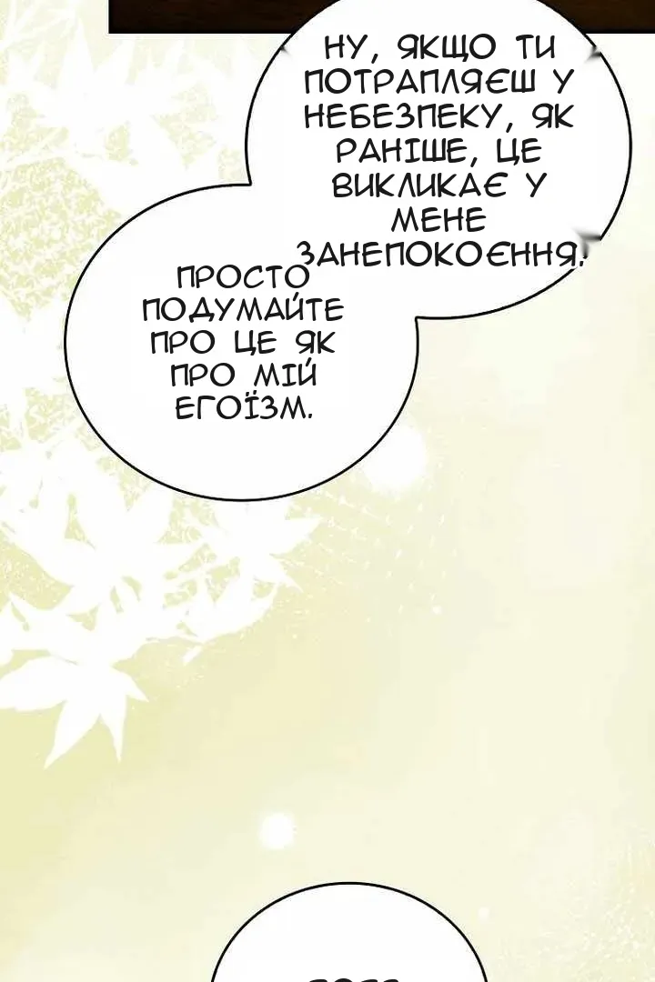 Сторінка 17