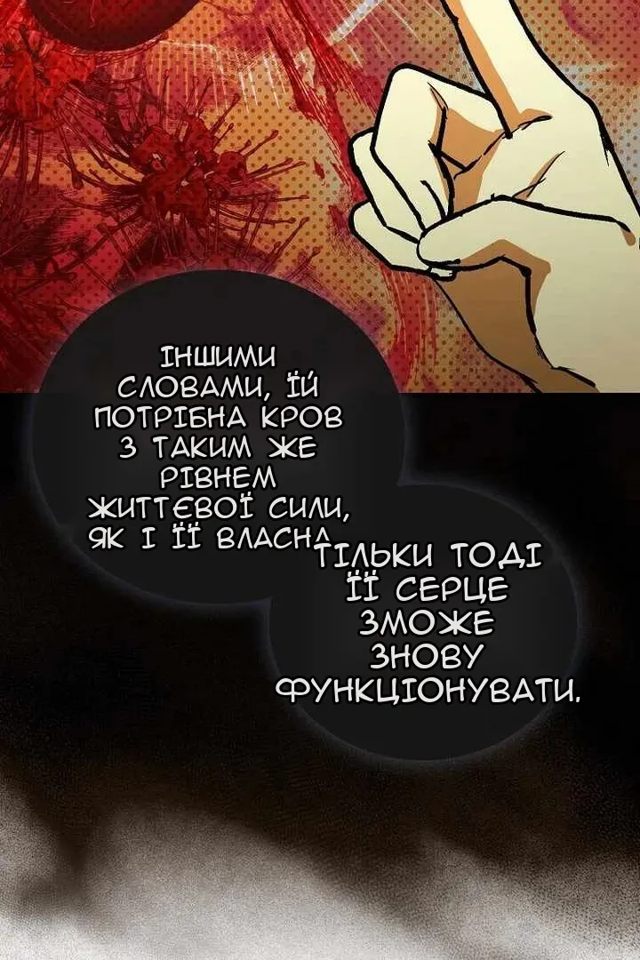 Сторінка 85