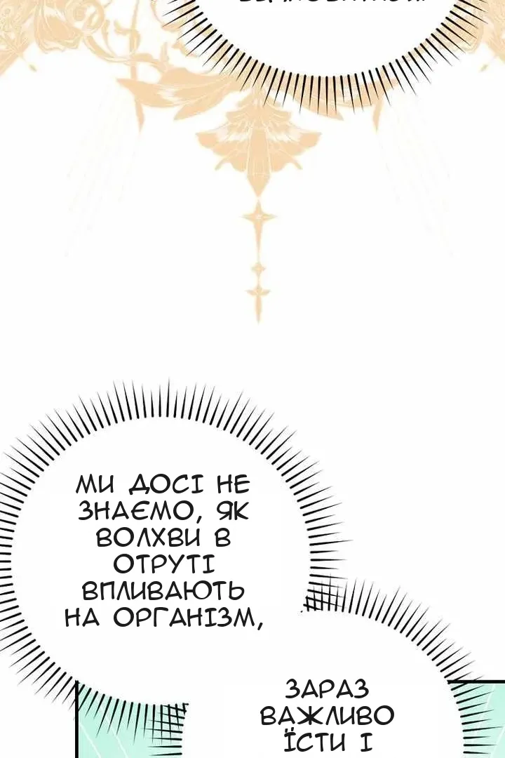 Сторінка 28