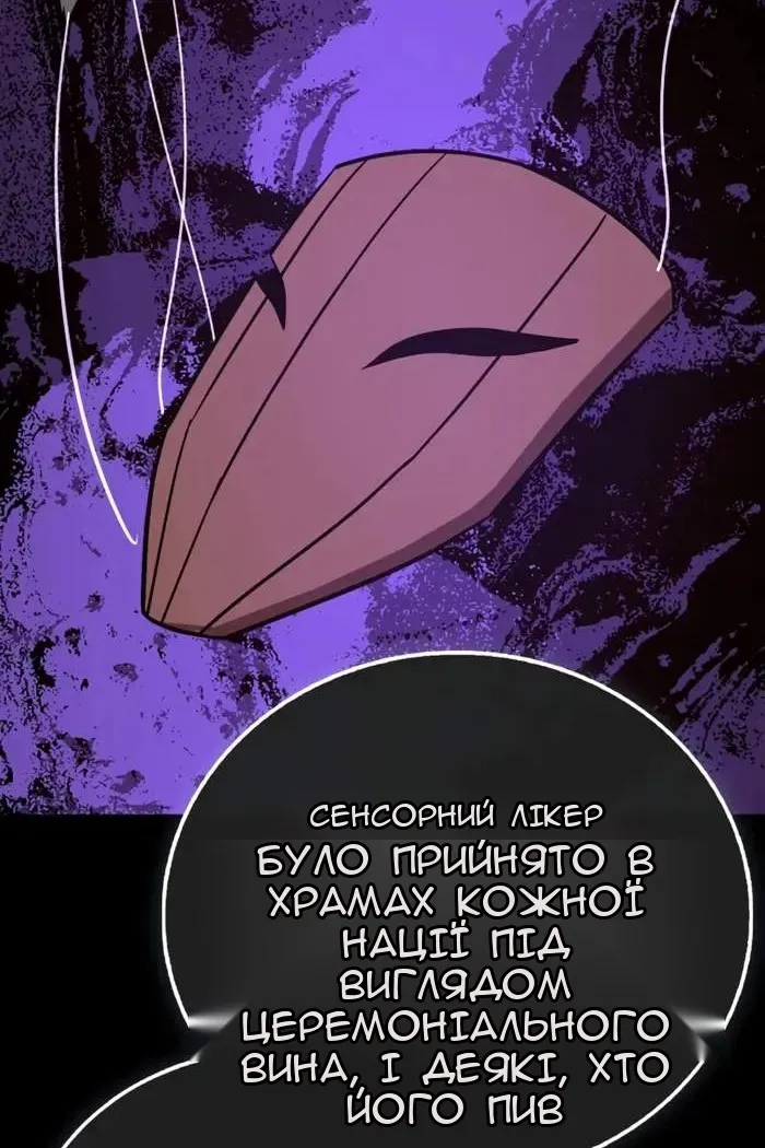 Сторінка 17