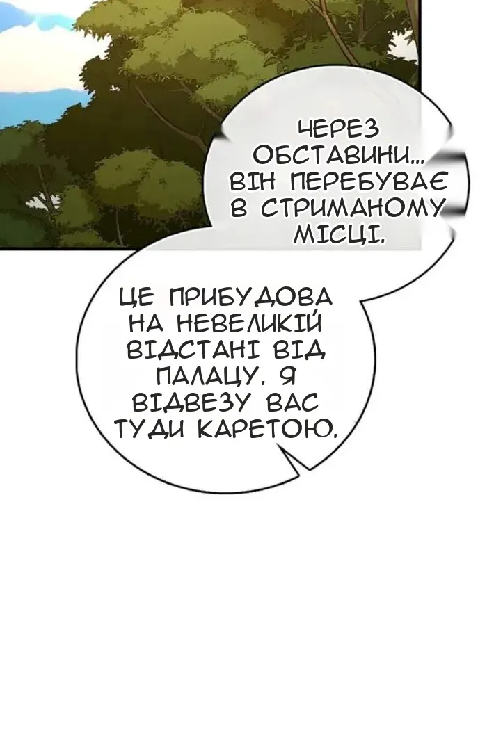 Сторінка 100