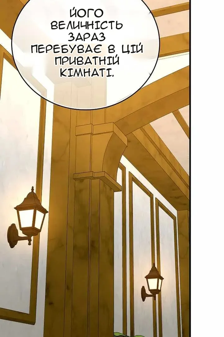 Сторінка 27