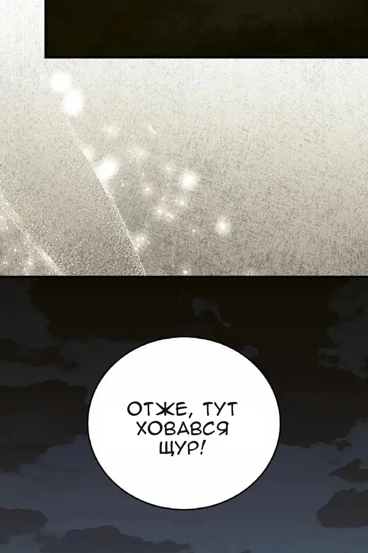 Сторінка 24
