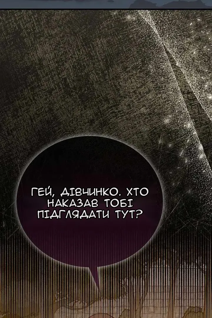 Сторінка 25