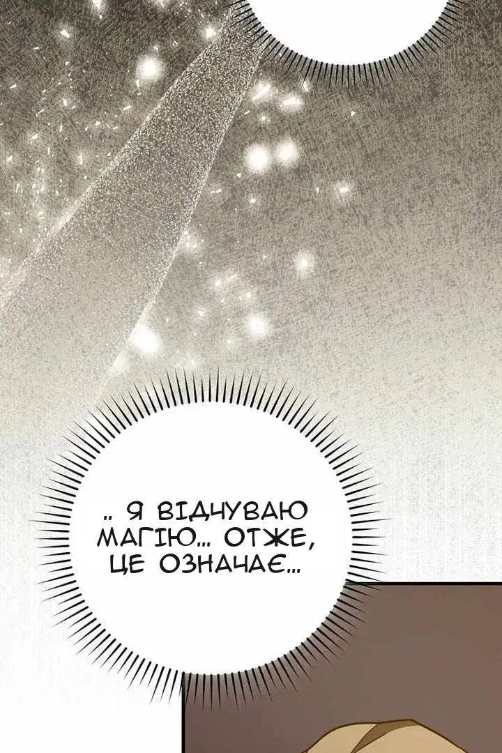Сторінка 27