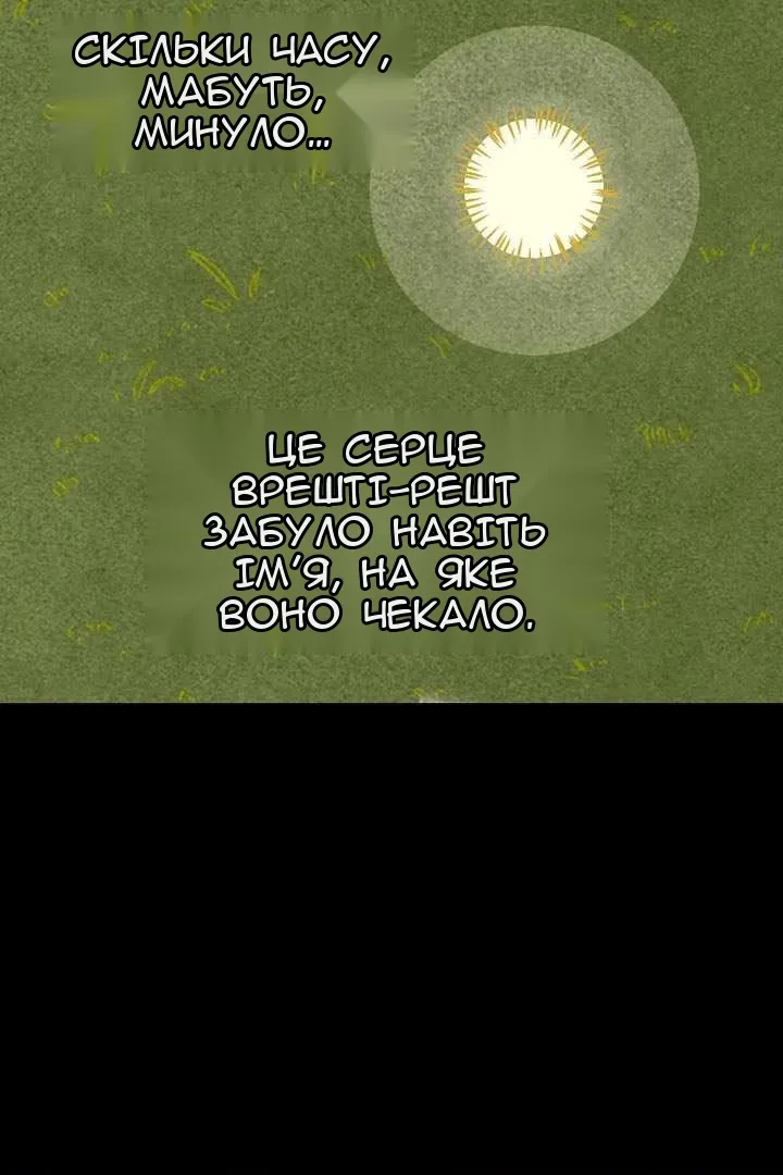 Сторінка 13